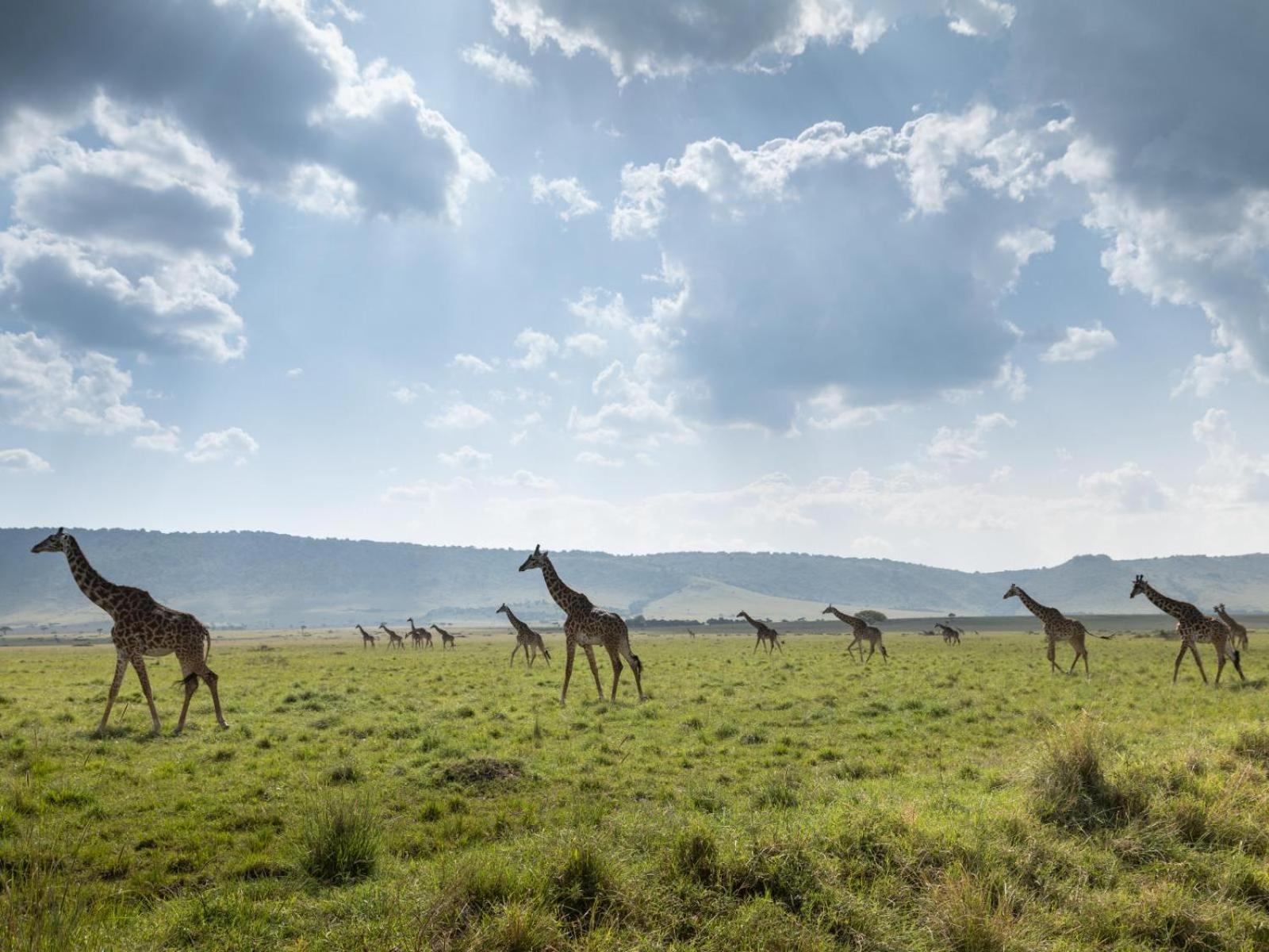 Kilima Camp - Safari In Masai Mara Vila Lolgorien Exterior foto