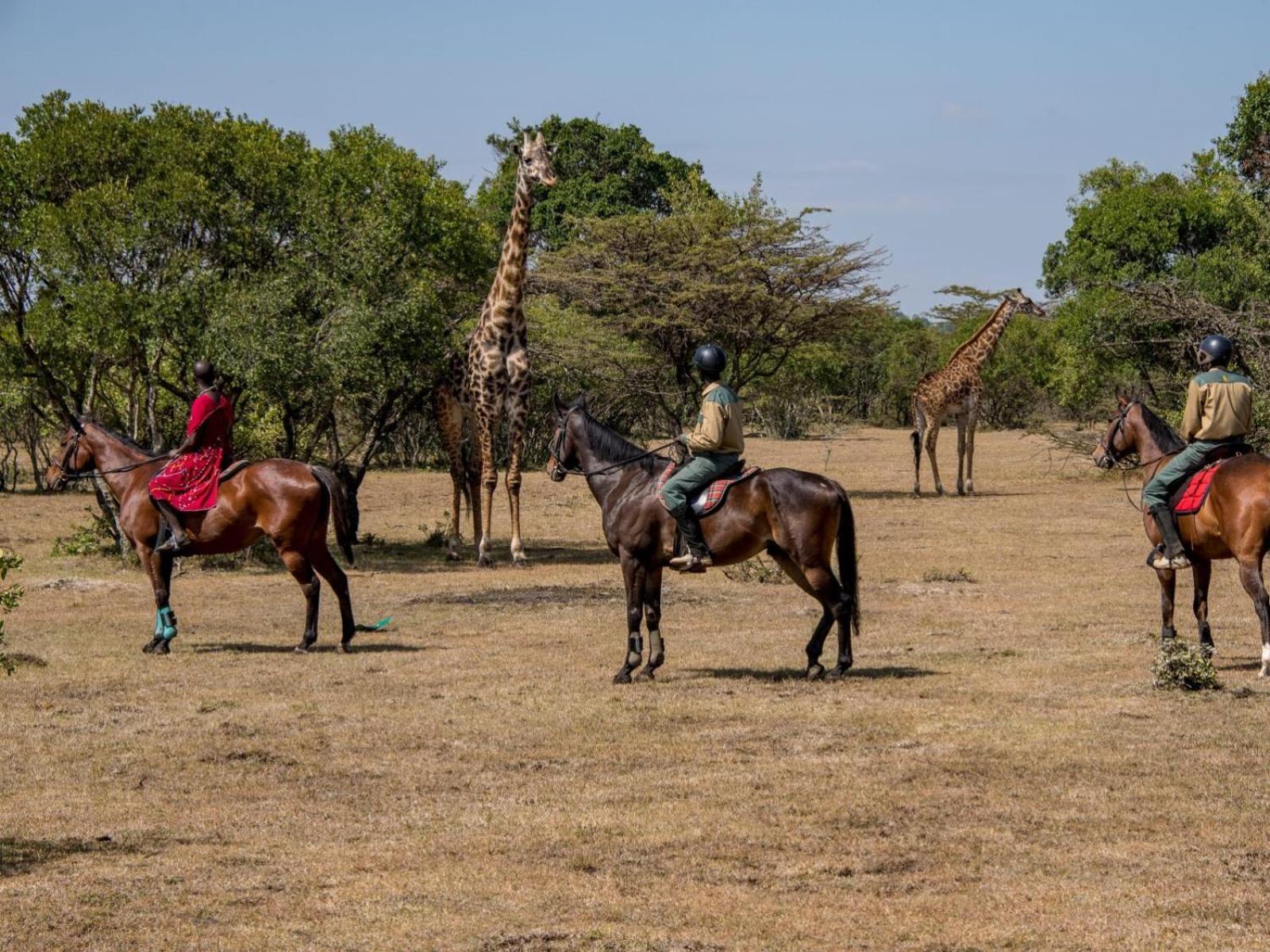 Kilima Camp - Safari In Masai Mara Vila Lolgorien Exterior foto